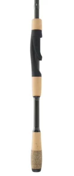 FENWICK EAGLE BASS CANNE LANCER LEGER 2 PIÈCES7
