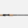 FENWICK EAGLE SALMON / STEELHEAD CANNE LANCER LOURD 2 PIÈCES