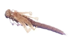 FISHLAB NATURE SERIES FLUTTER NYMPH 3.5″