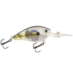 LIVINGSTON POISSON NAGEUR FLATMASTER