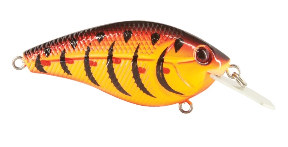 POISSON NAGEUR PRIMETYME CB 1.5 DE LIVINGSTON 1 POISSON NAGEUR PRIMETYME CB 1.5 DE LIVINGSTON