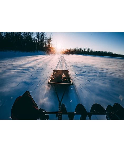 OTTER TRAÎNEAU PRO MEDIUM 2 OTTER TRAÎNEAU PRO MEDIUM - Image 2