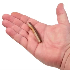 BERKLEY POWERBAIT MAXSCENT LIL’GENERAL -Fishing Supplies Shop PowerBaitMaxScentLilGeneral RustyCraw 2.75in HAND 1000