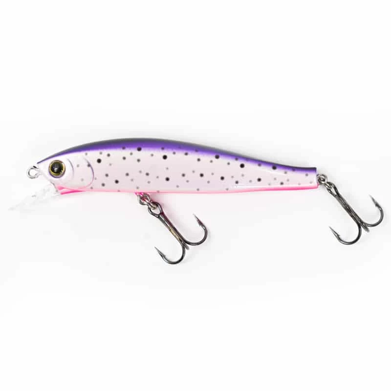 POISSON NAGEUR JERKBAIT MINNOW FLAT 70SP 2 3/4” 70MM DE HARDCORE PURPLE RAINBOW 1 POISSON NAGEUR JERKBAIT MINNOW FLAT 70SP 2 3/4” 70MM DE HARDCORE PURPLE RAINBOW