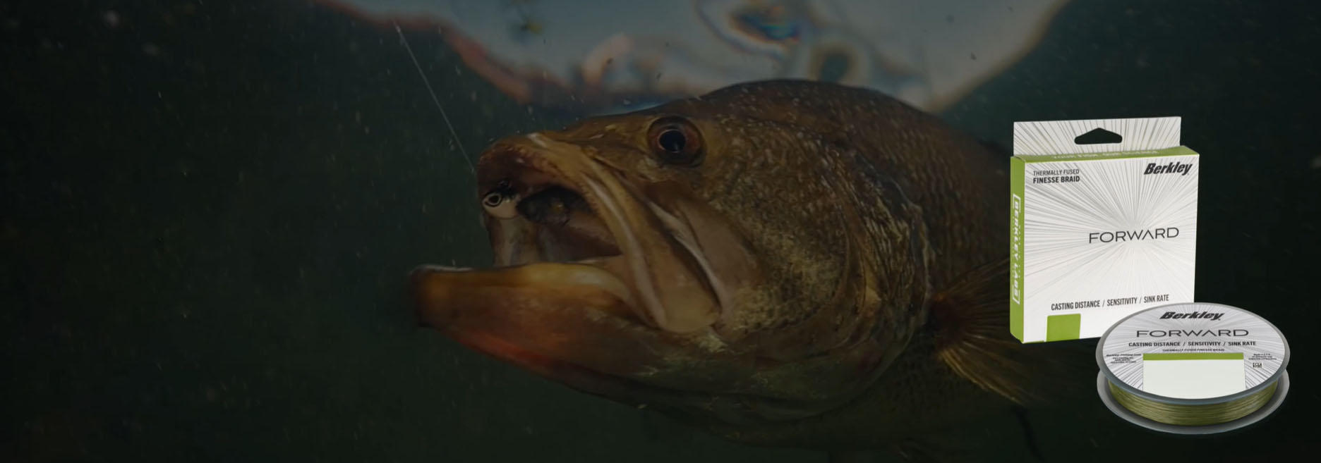 Fishing Supplies Shop -Fishing Supplies Shop wrfefr