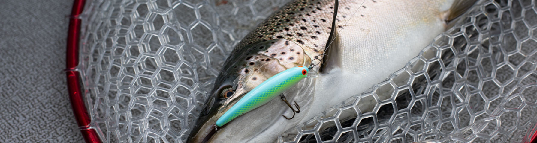 Fishing Supplies Shop -Fishing Supplies Shop